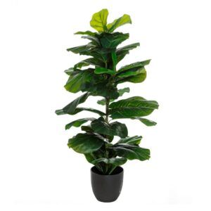 Planta ficus verde pvc decoración 33 x 35 x 100 cm