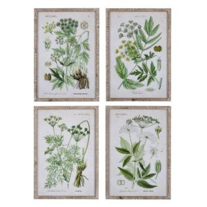 Cuadro impresión botánico 4/m 42 x 2